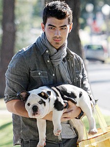 joe-winston.jpg